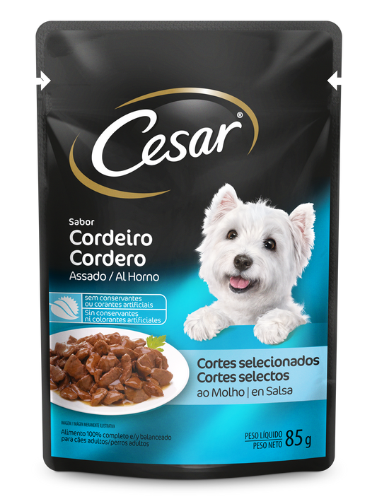 CESAR SACHE AD. CORDEIRO ASSADO 20X85G