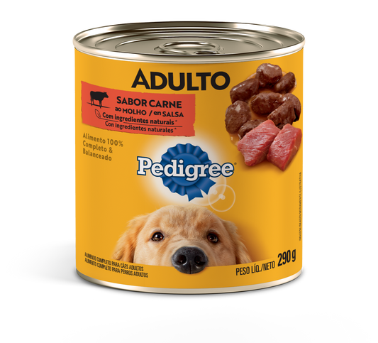 LT PED. CARNE AO MOLHO 290g